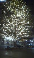http://mitakasuki.torebo-kichijoji.jp/image/091102_23597E01-thumbnail4.jpg